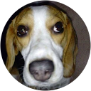Barbara Kałędkiewicz profile picture